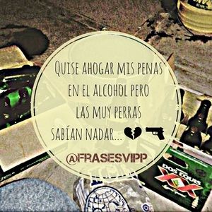 Meet your Posher, Paola